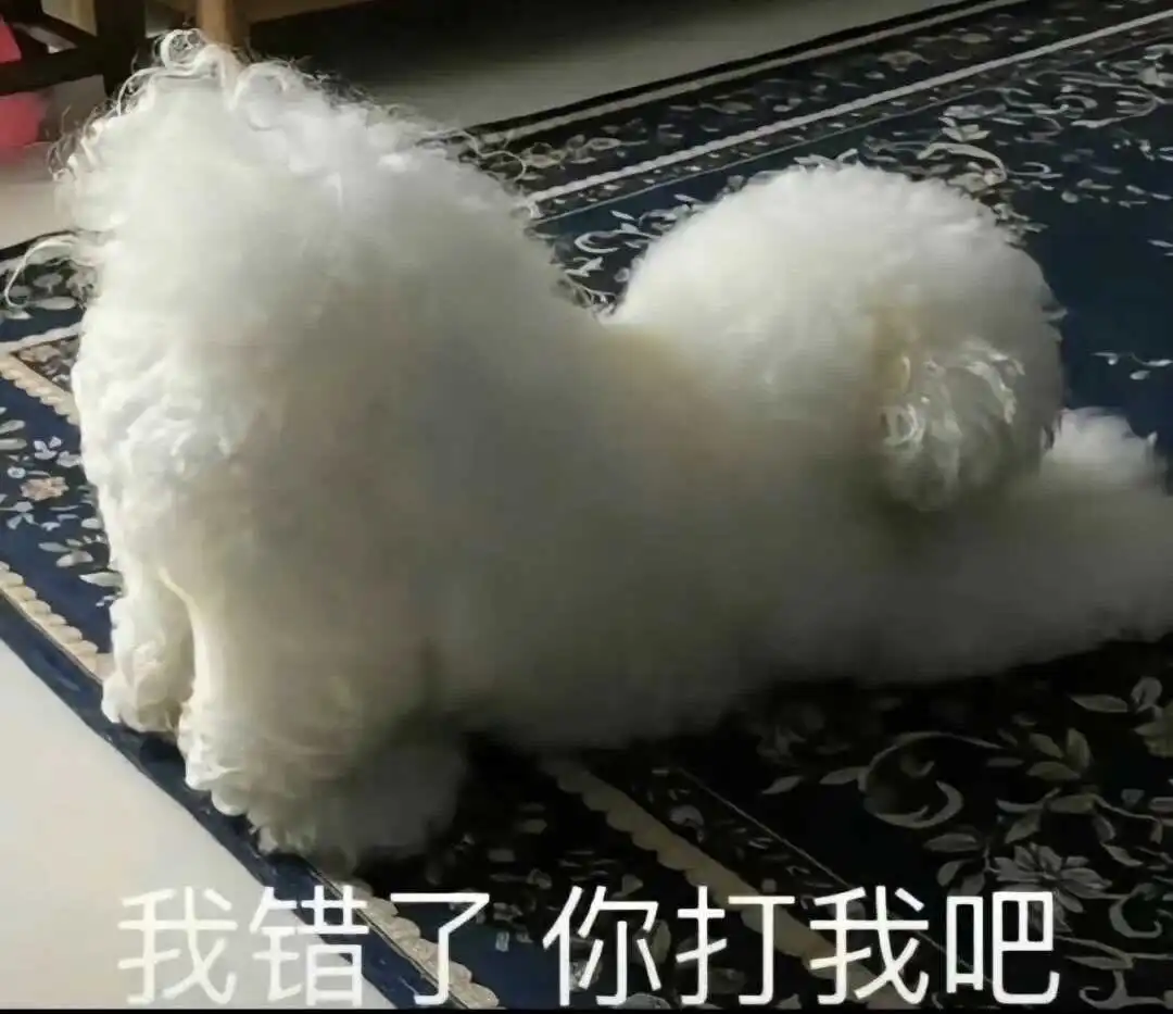 m倾向是什么？深入探讨你的内心渴望与边界 一