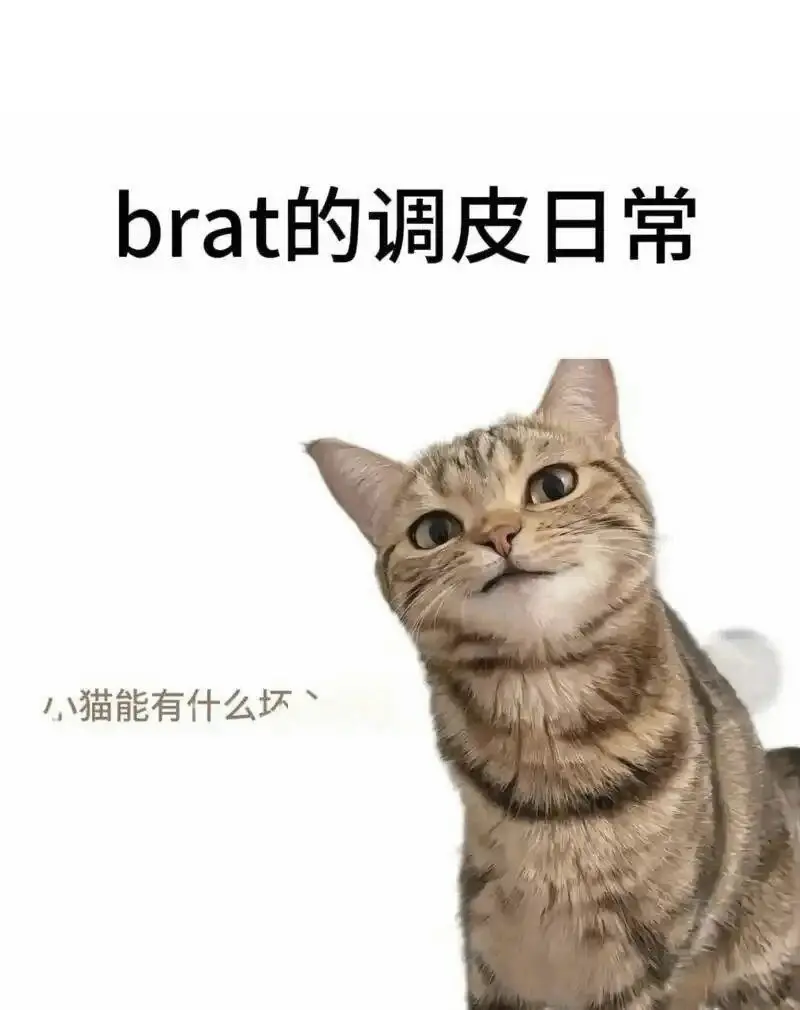 字母圈的aftercare如何能让你的关系更稳固 一