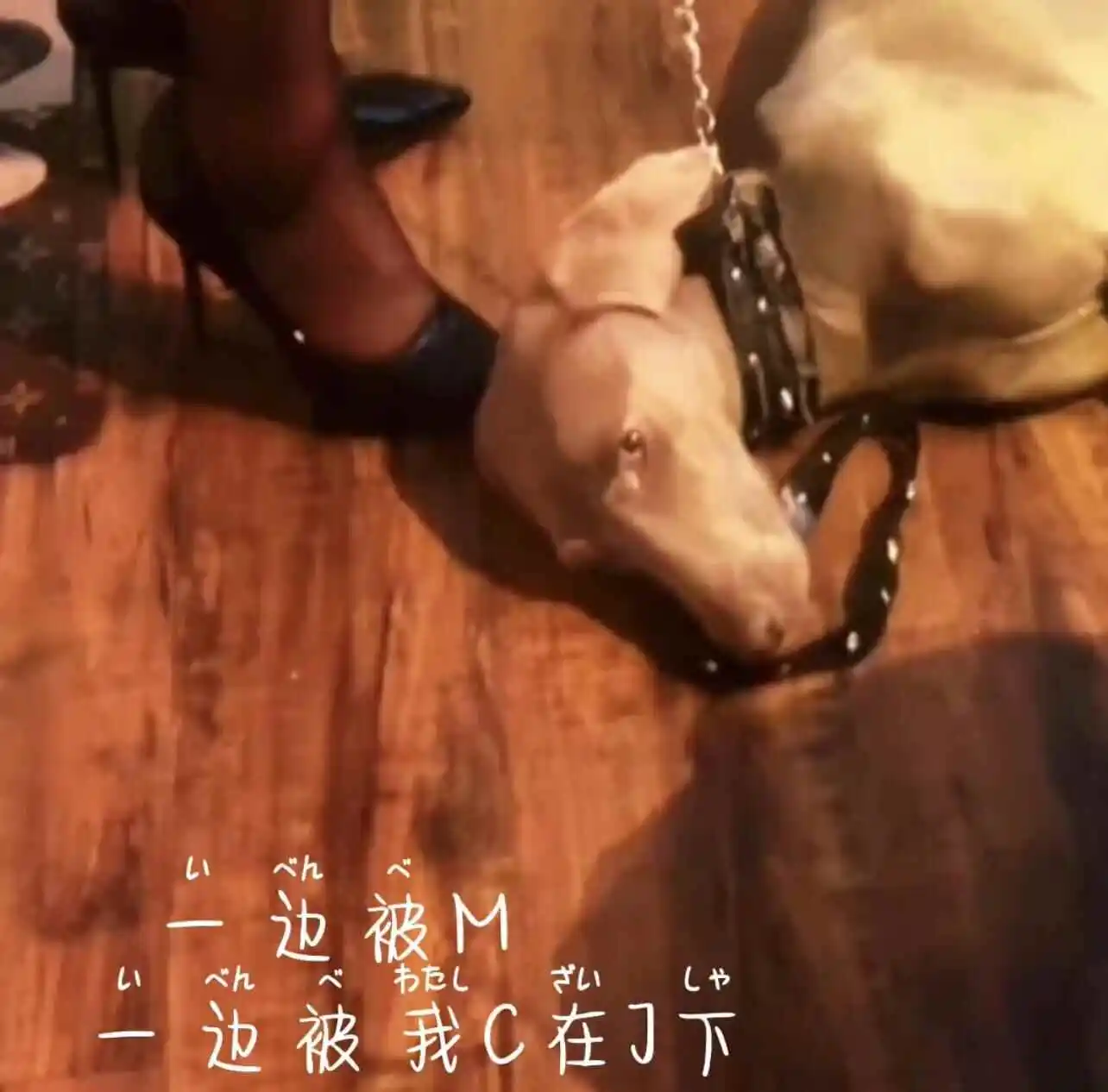 我的spank体验:如何与伴侣探索边界与快感 一